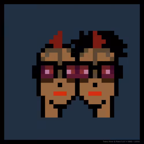 Twins: #138