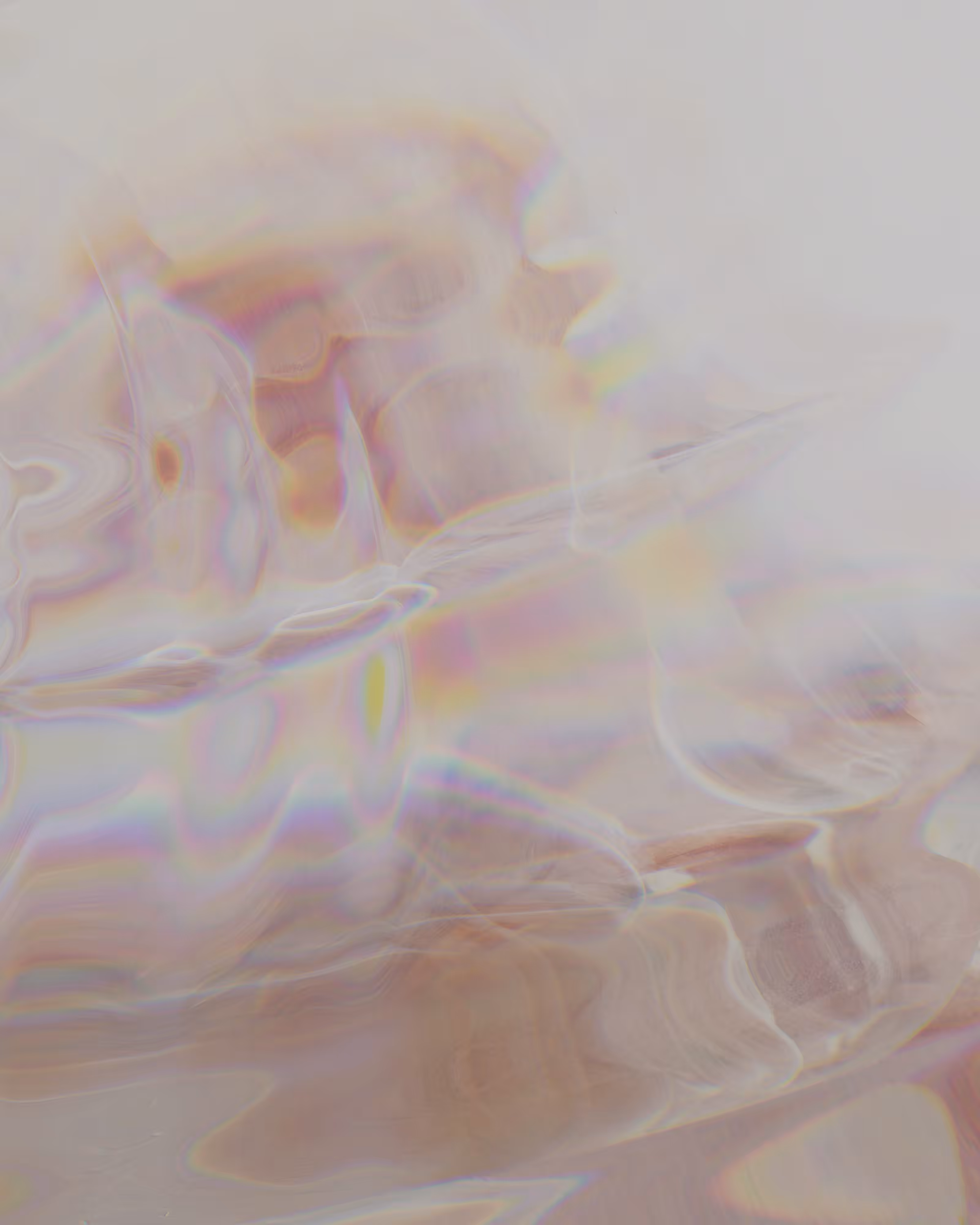 Parallels 06