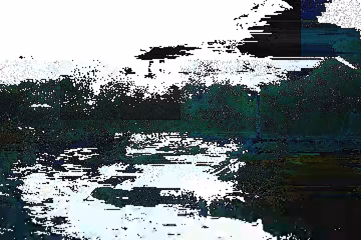 Á₲ɄΛ$ ₱Λ$$ΛĐΛ$