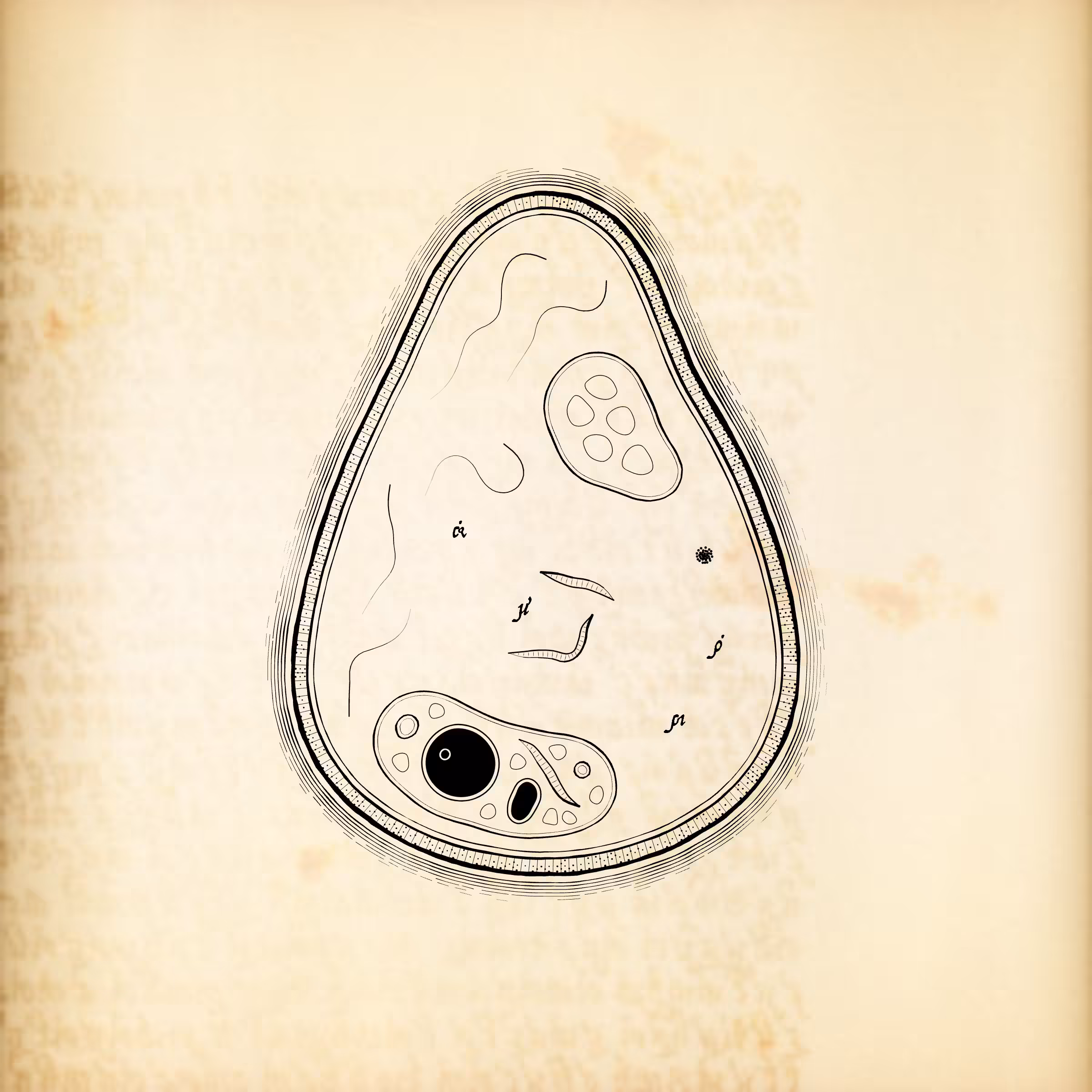 Cytographia #353