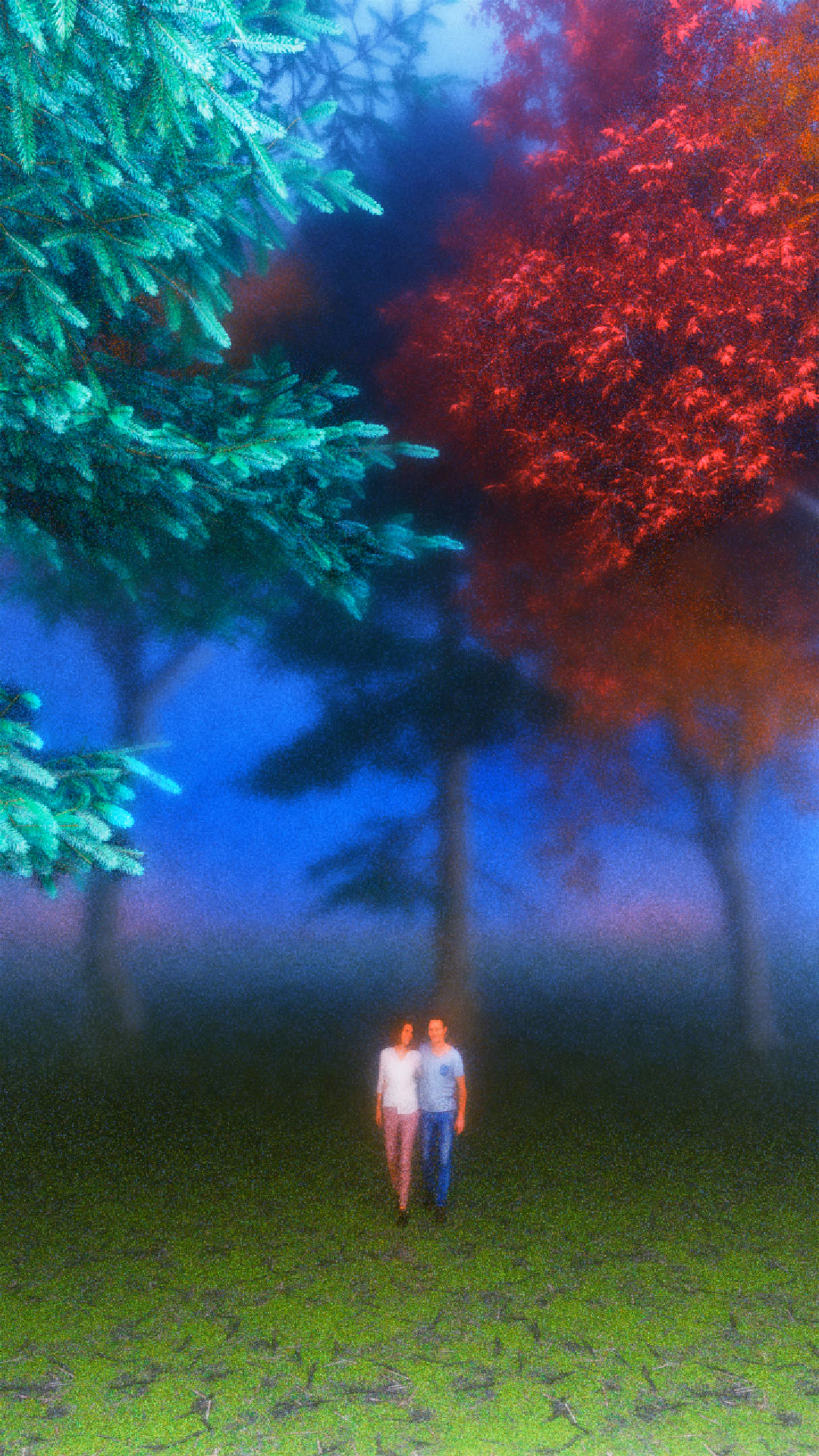 Journey Under the Shadows of Mystery