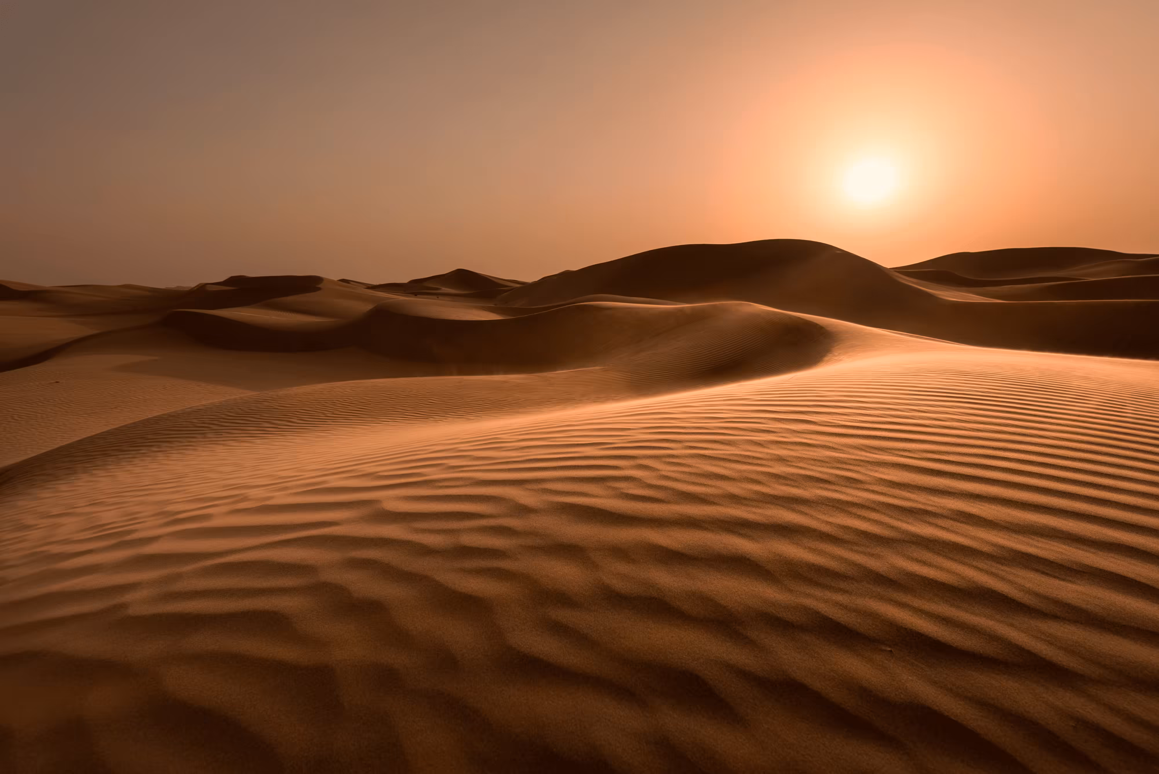 UAE Desertscapes- 28