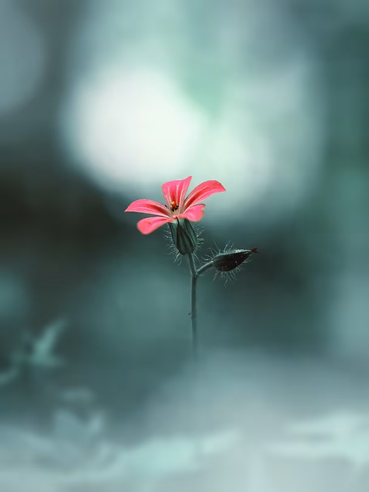 Spring's awakening
