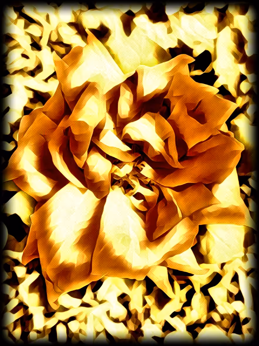 GOLDEN BLOSSOM