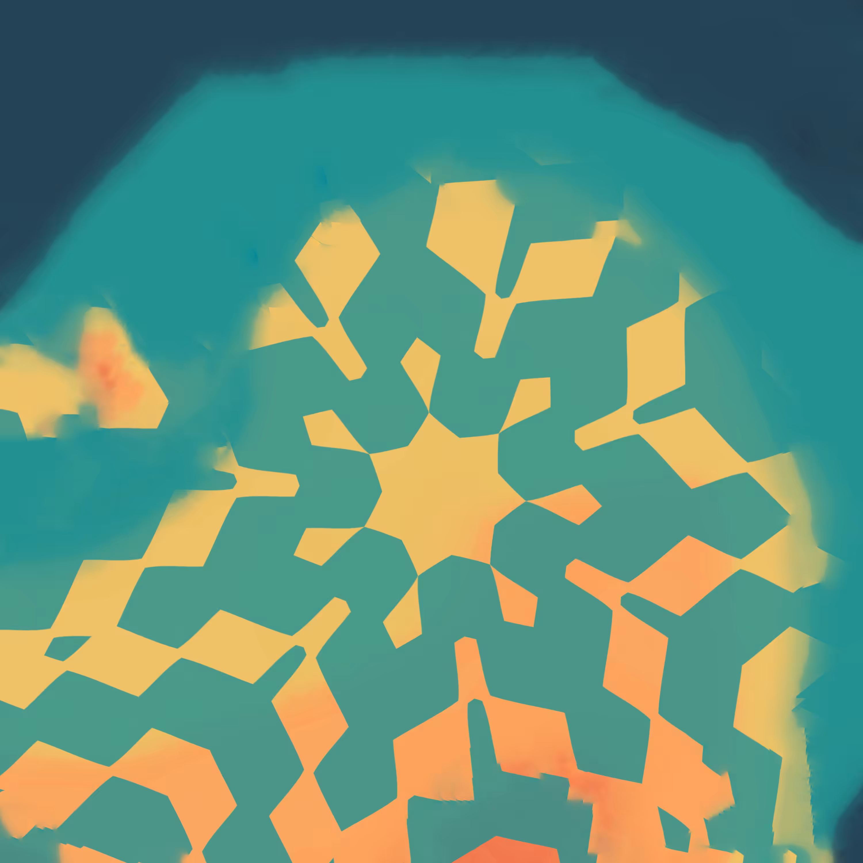FOLLOWER 30