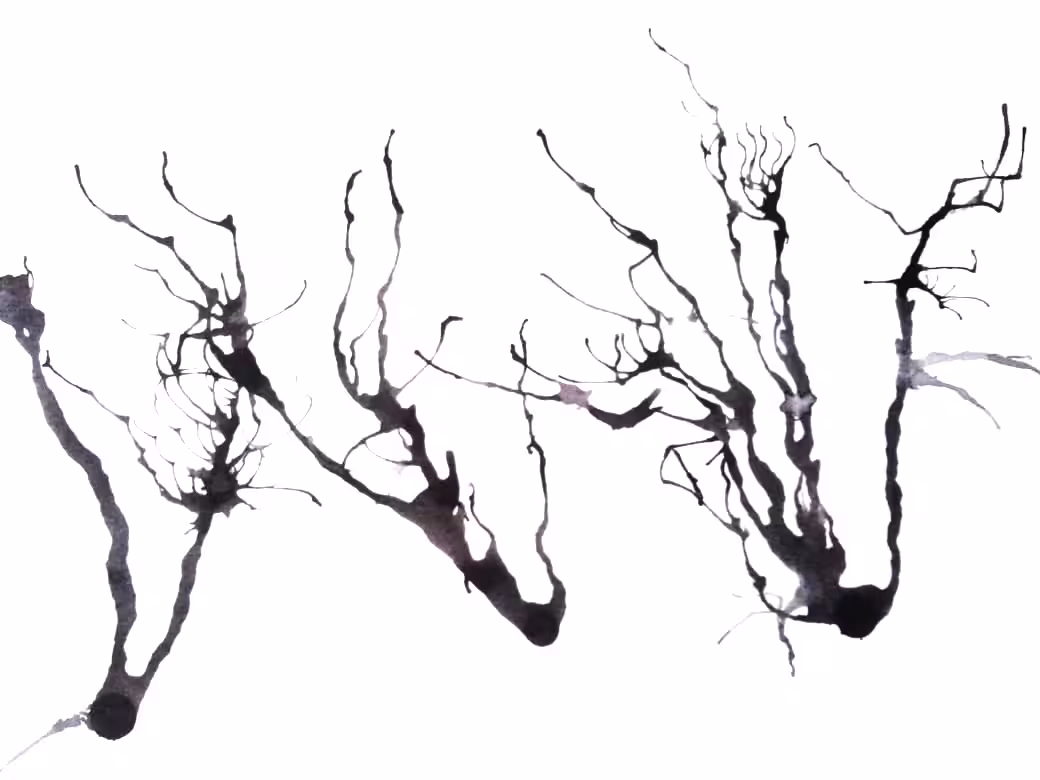 Dark Trails #12