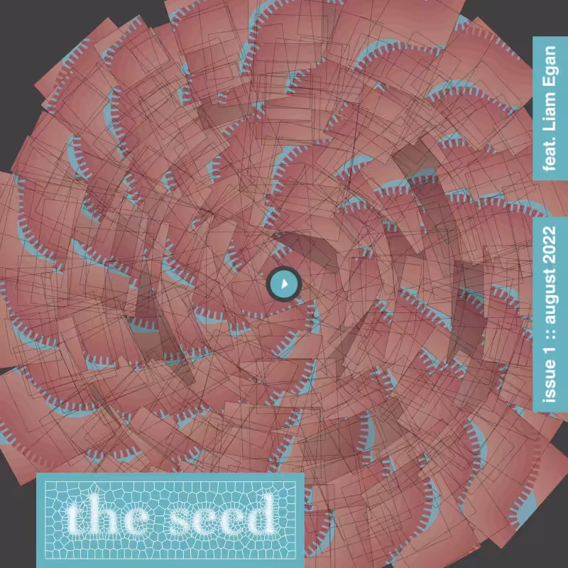 The seed :: issue 1 #81