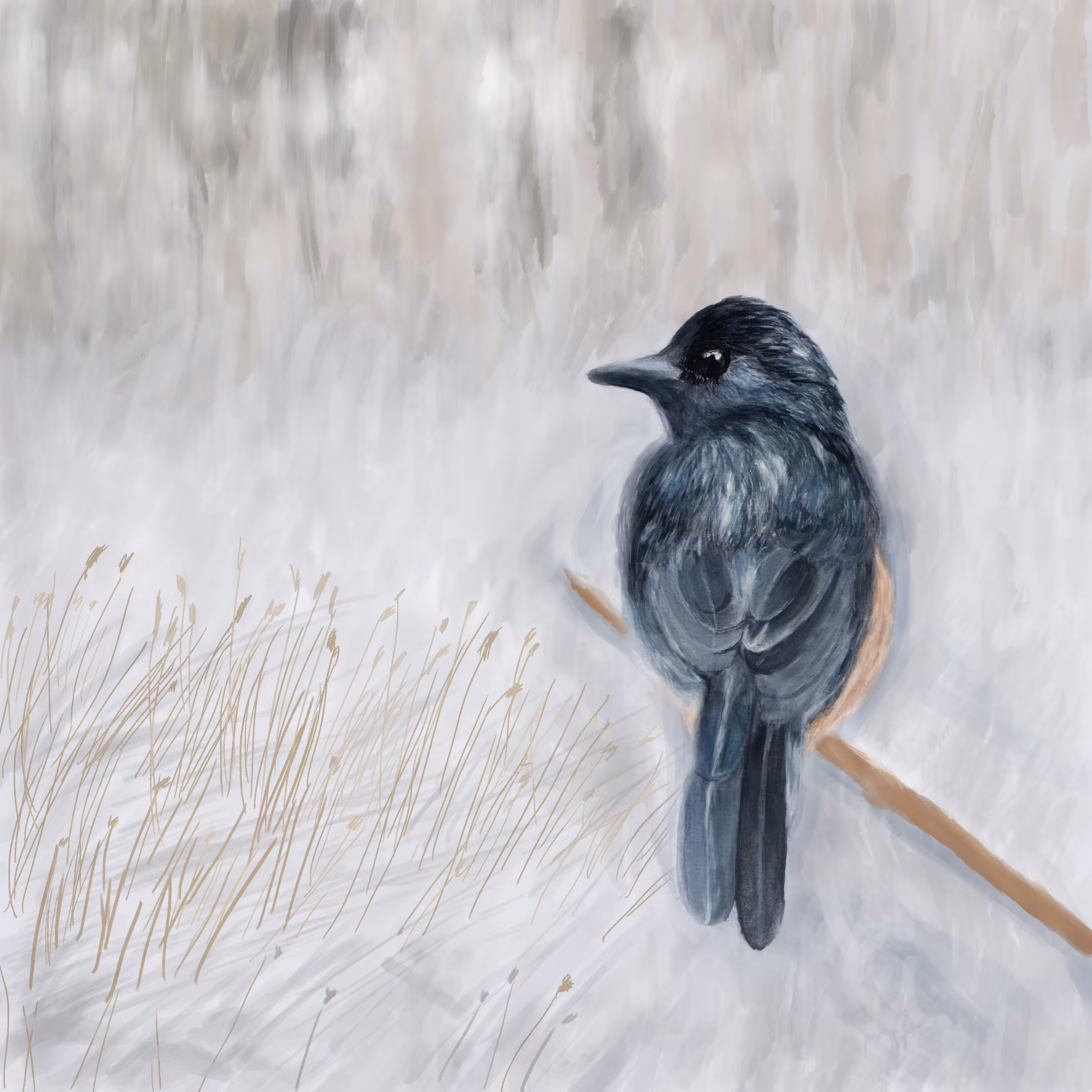 Bird in winter