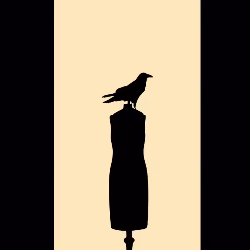 Crow #3