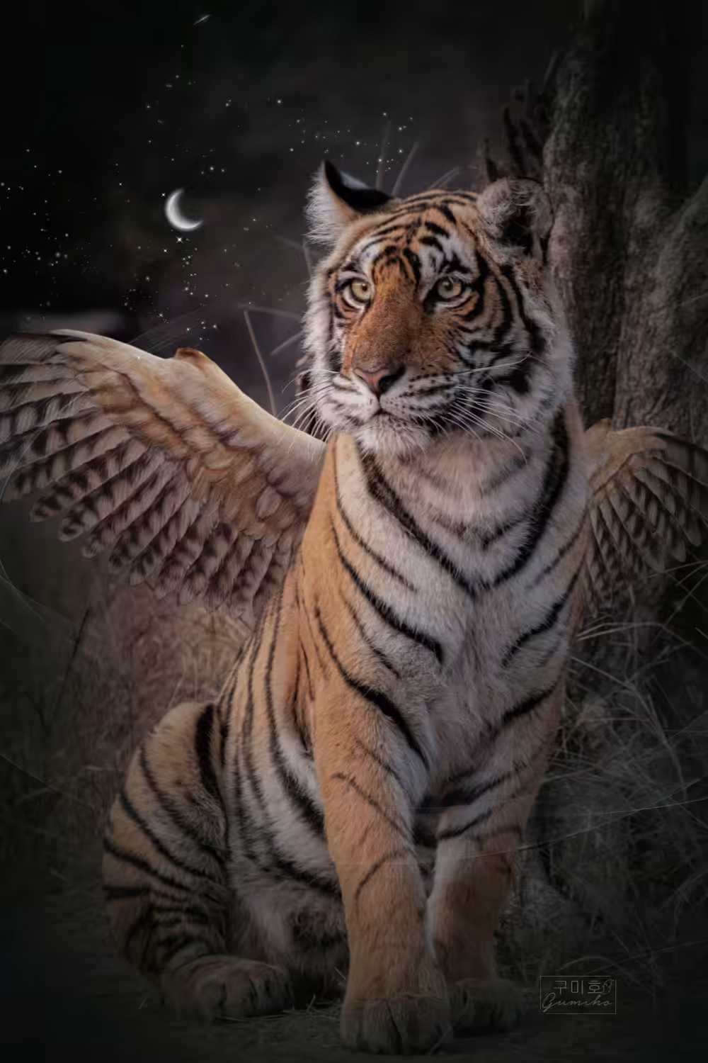 Tiger Wings