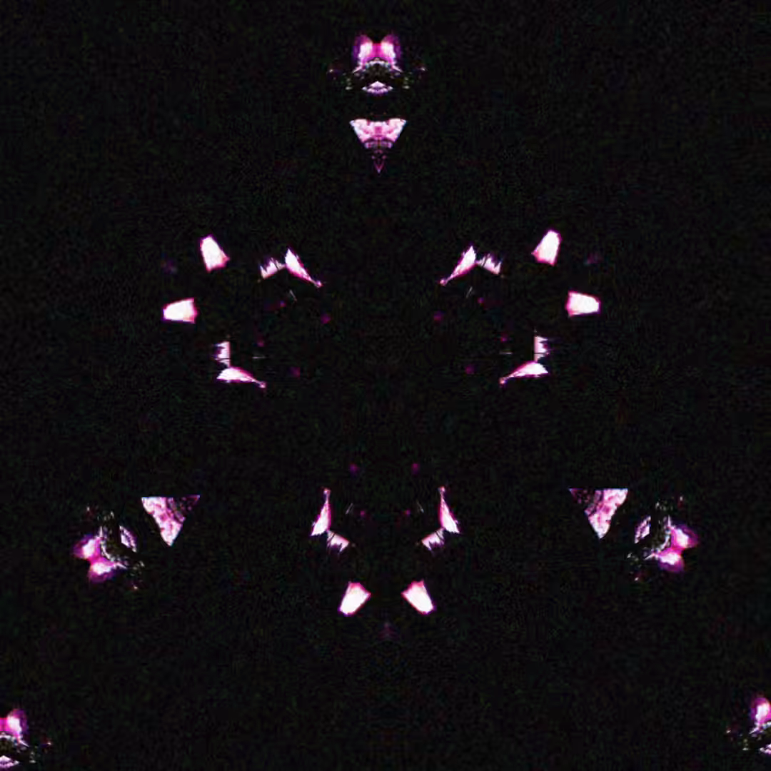 K A L E I D O