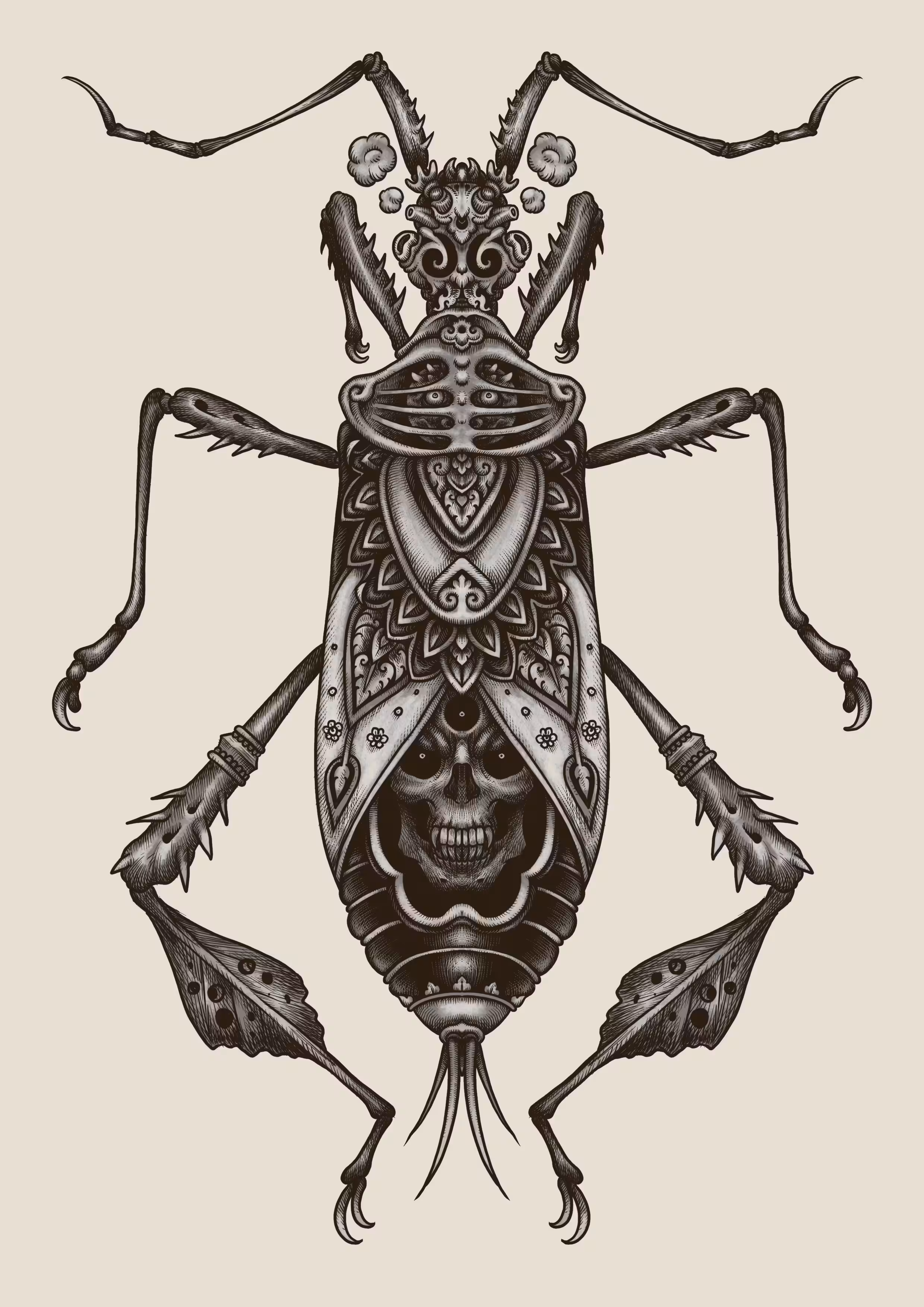 Devil Bug No.6