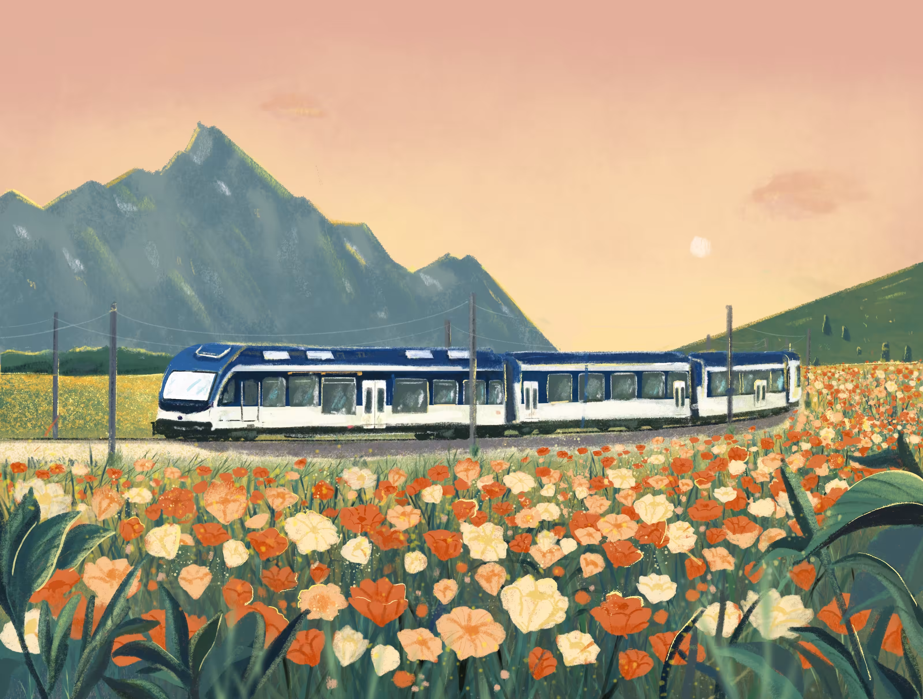 Travel