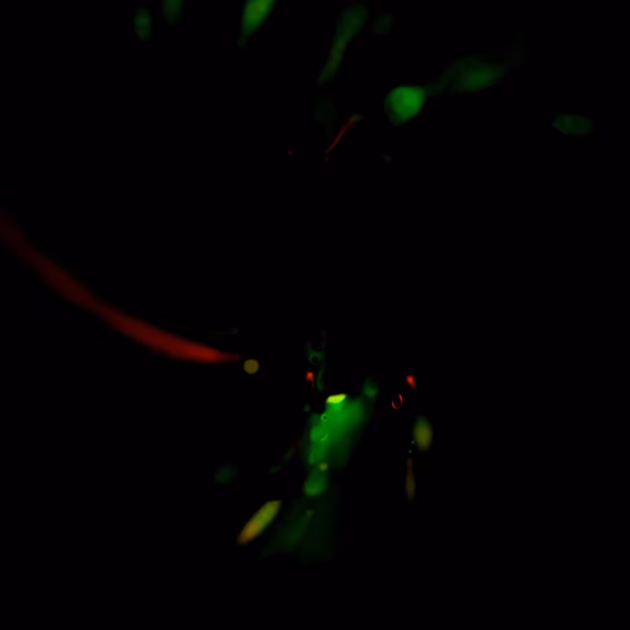 Artificial drops. Proliferation #3