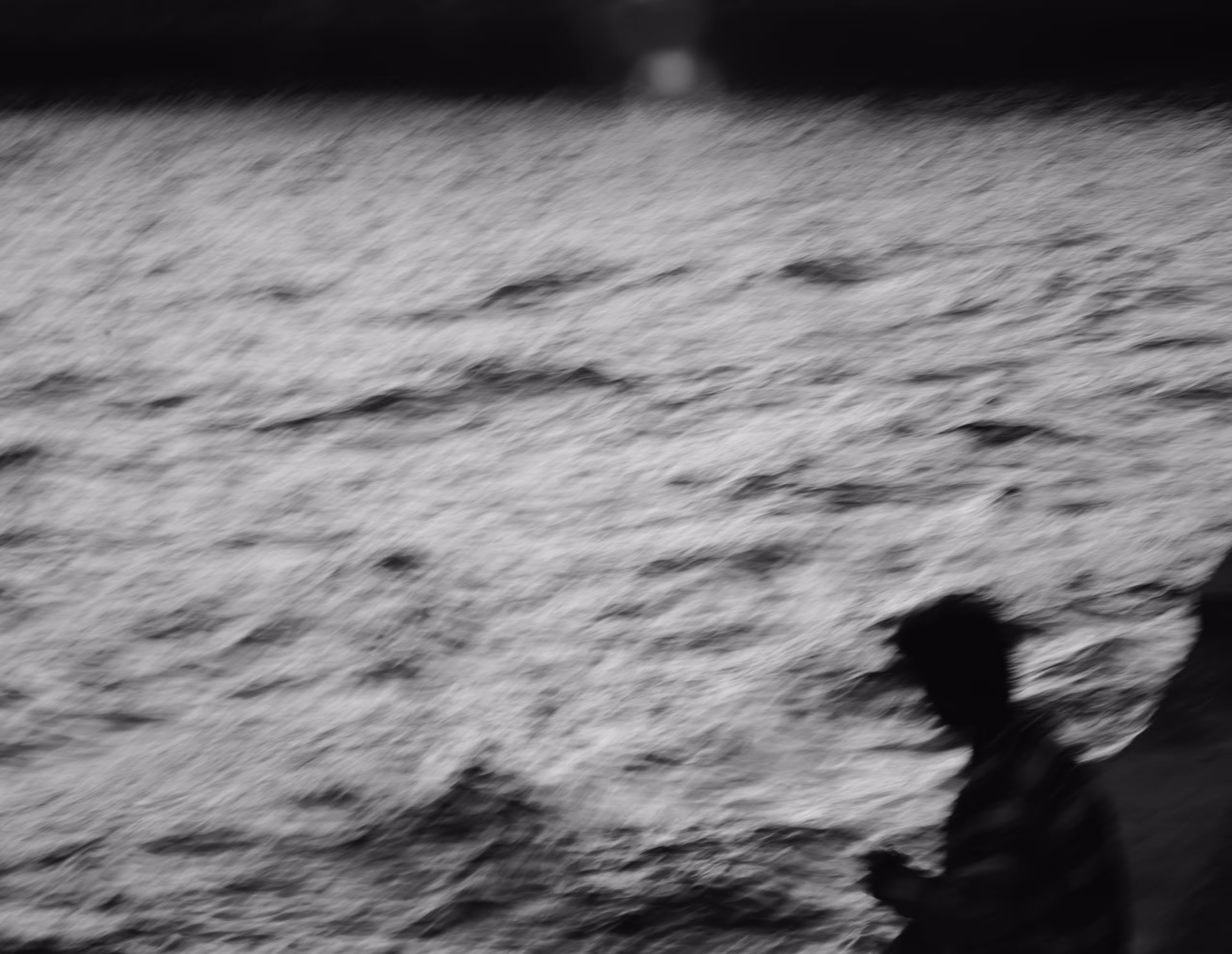 fisher