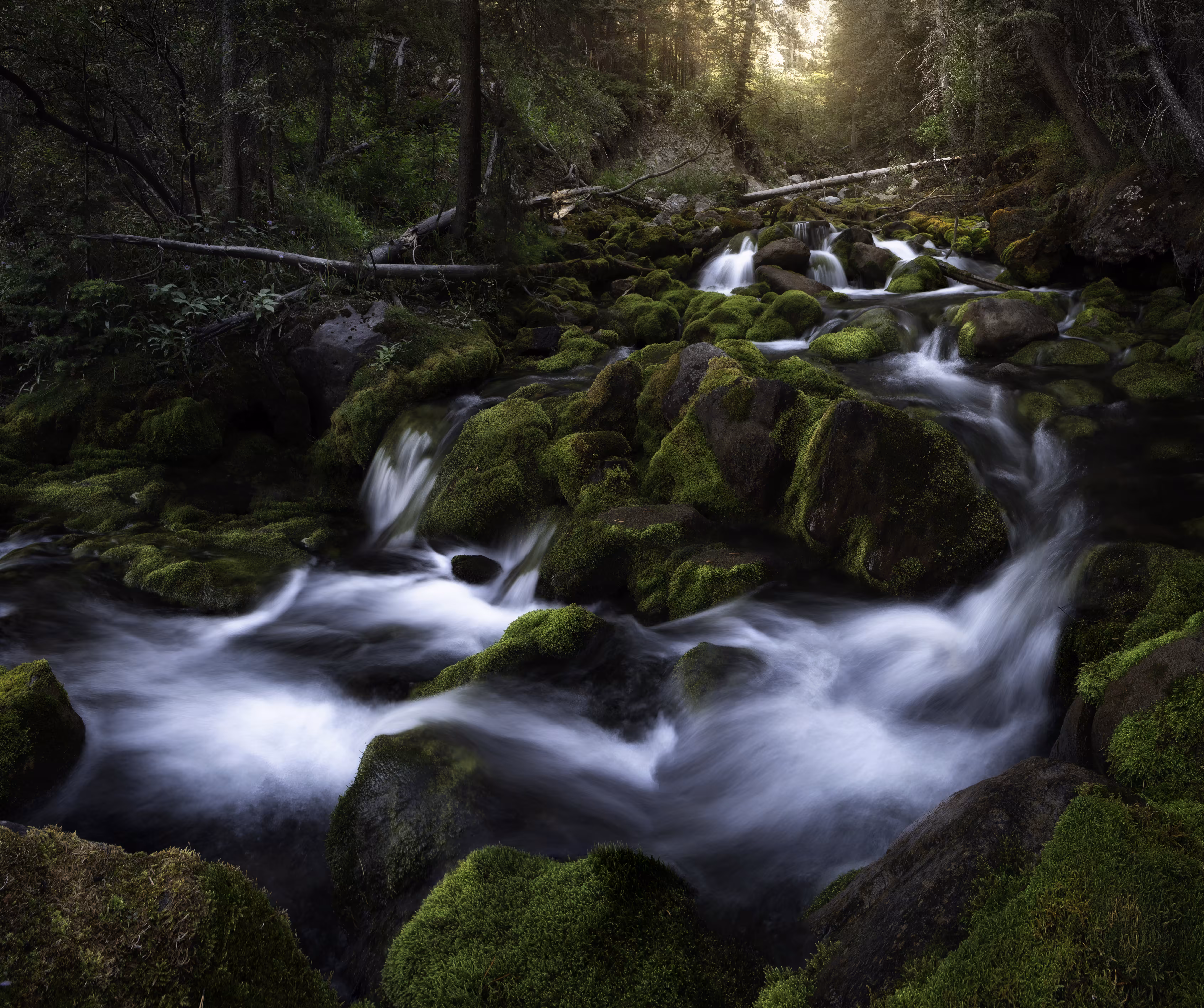 Enchanted Stream
