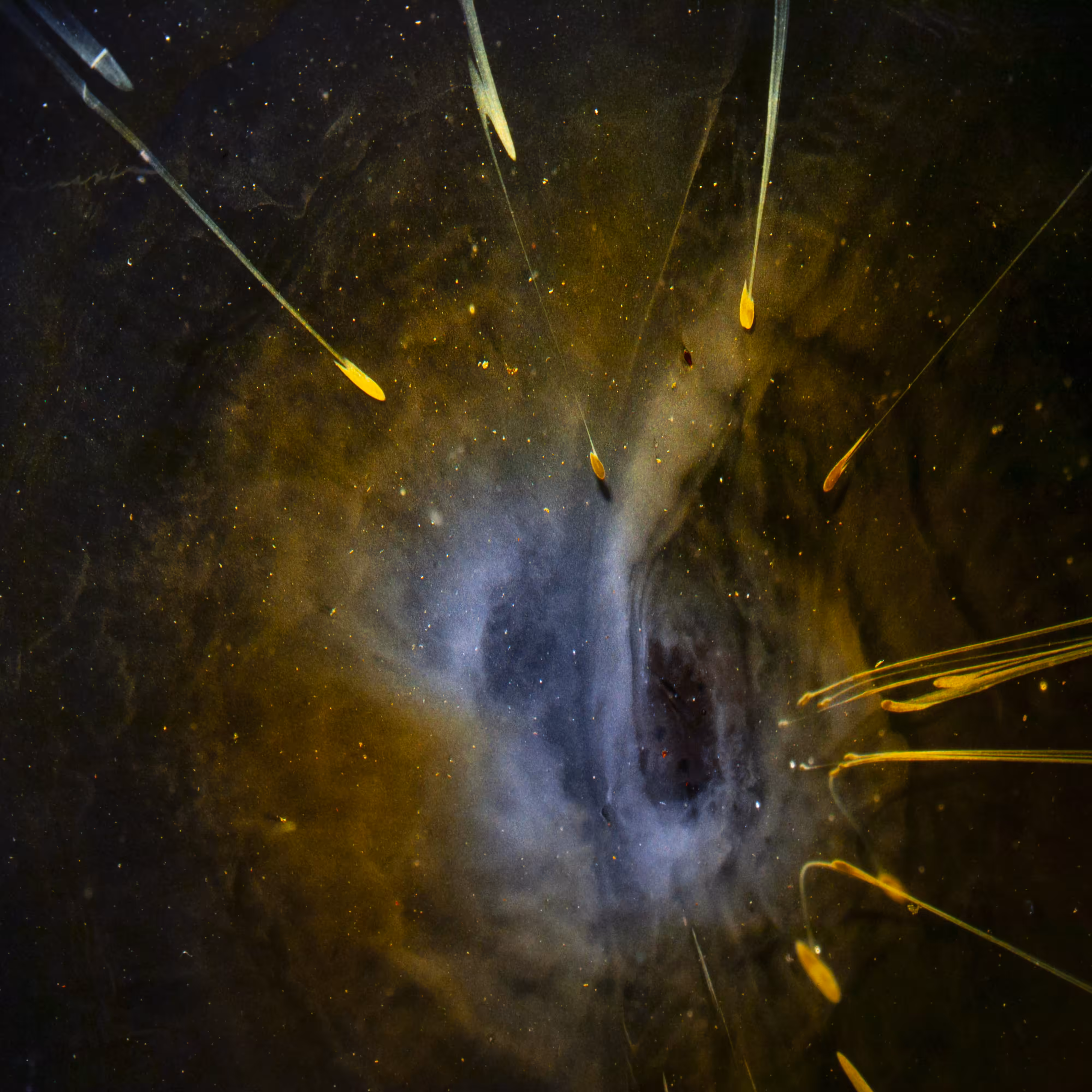 Singularity III
