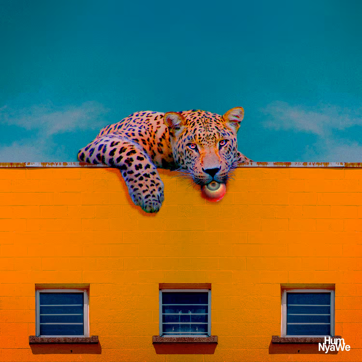 Hello, neighbors! 