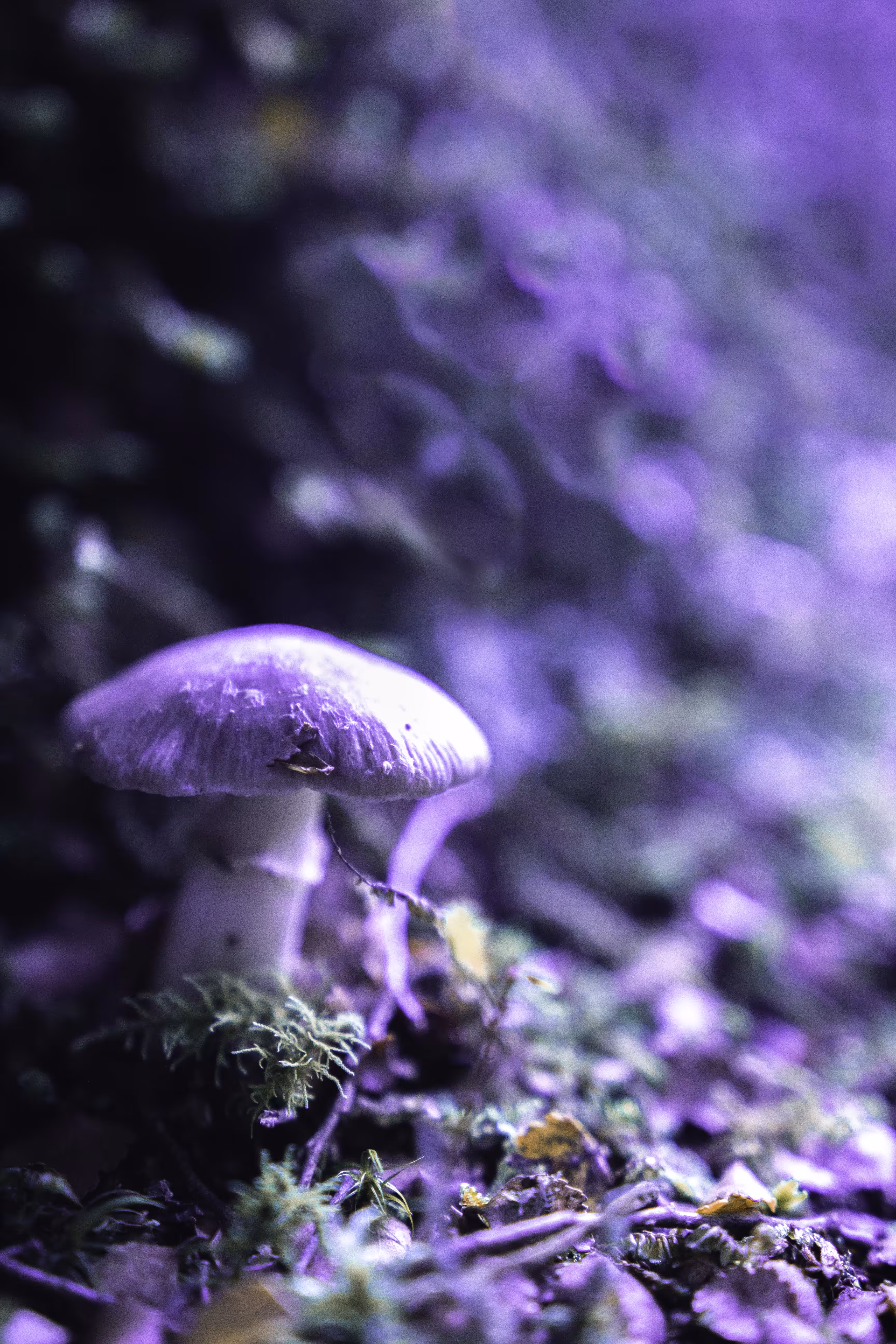 found