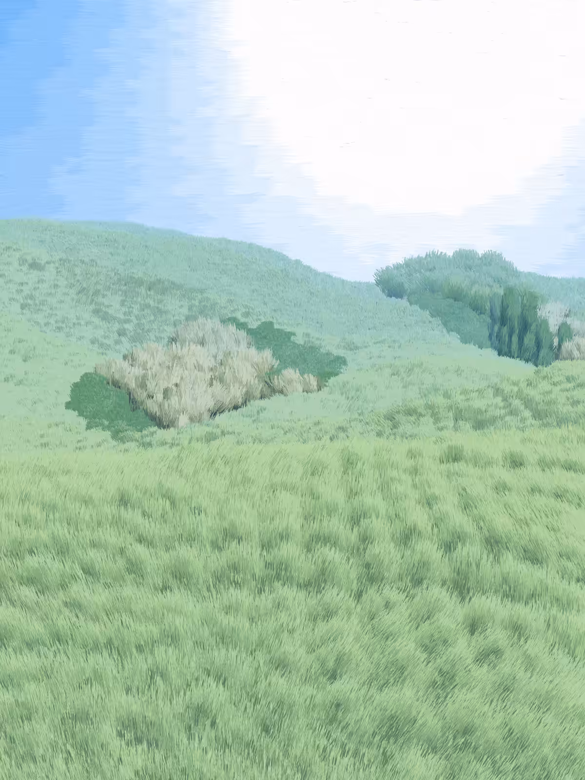Provence #15
