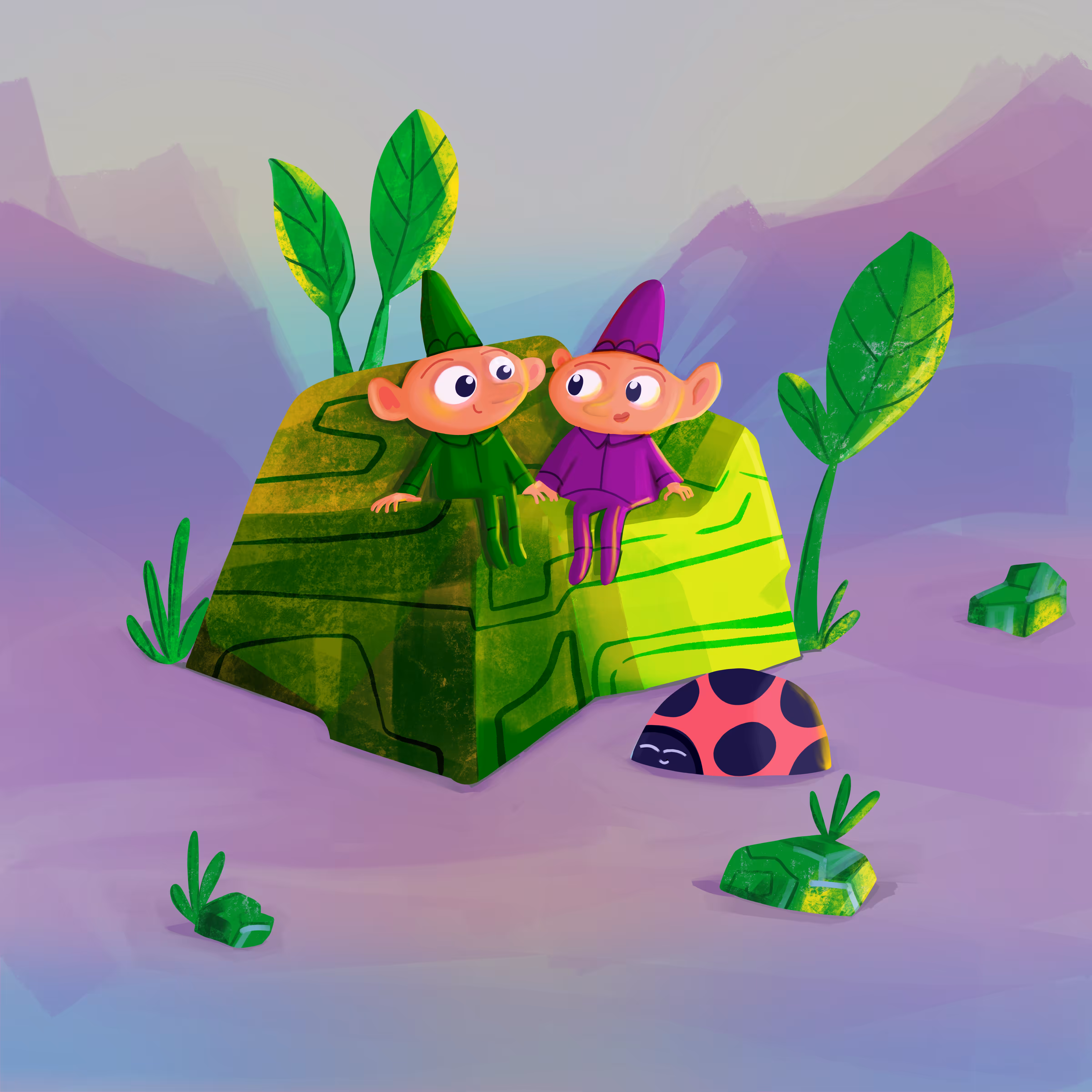Gnome rock