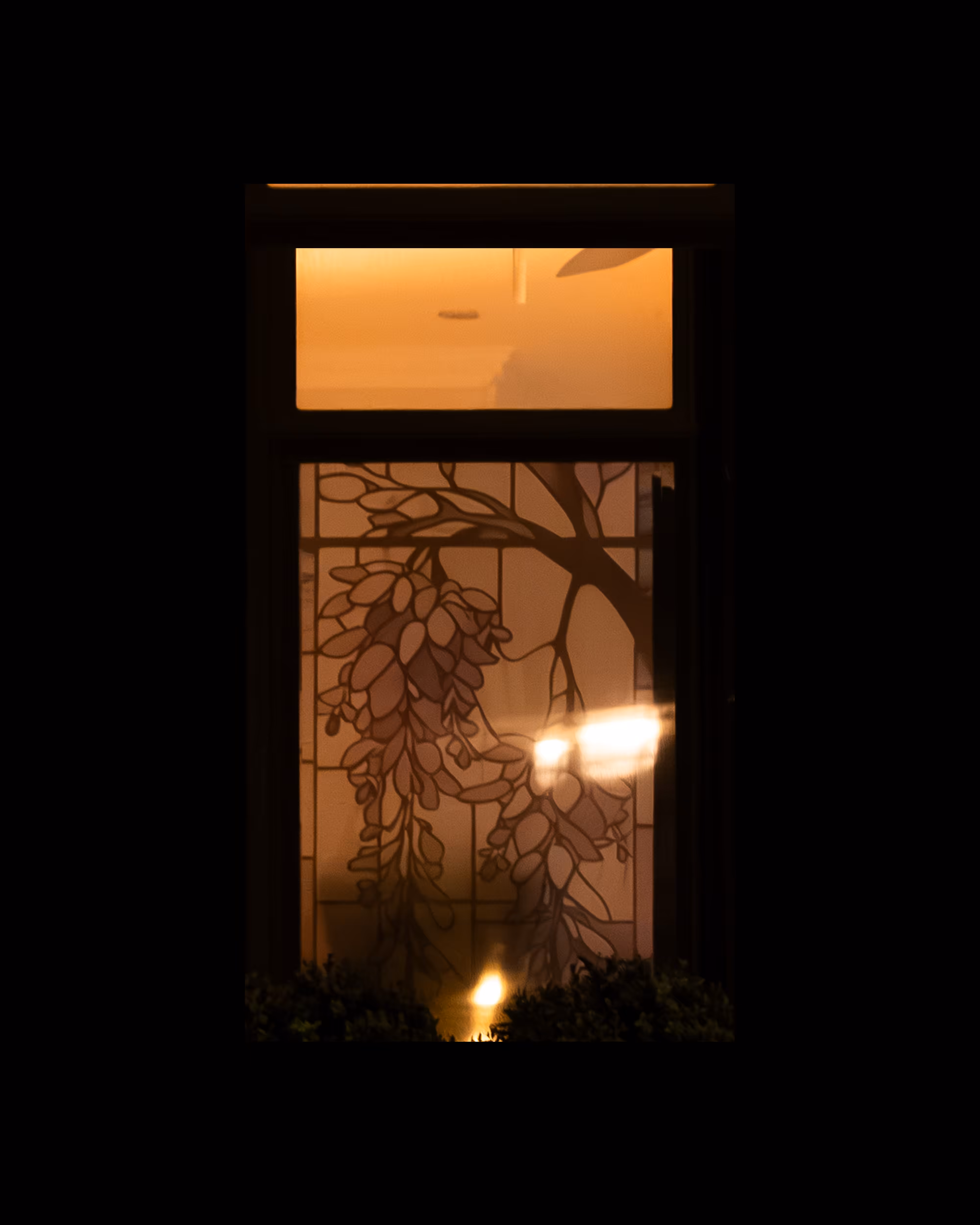 WINDOWS // NYC: WINDOW 662
