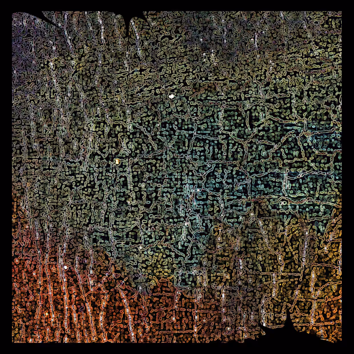 Cell 05