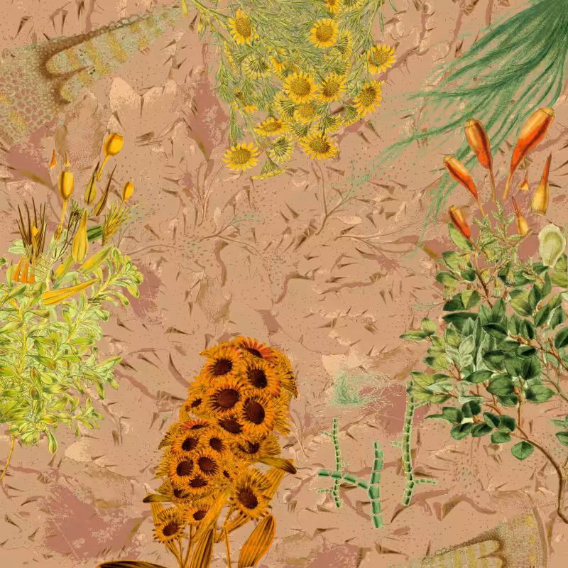 future flora from Antarctica's past #12
