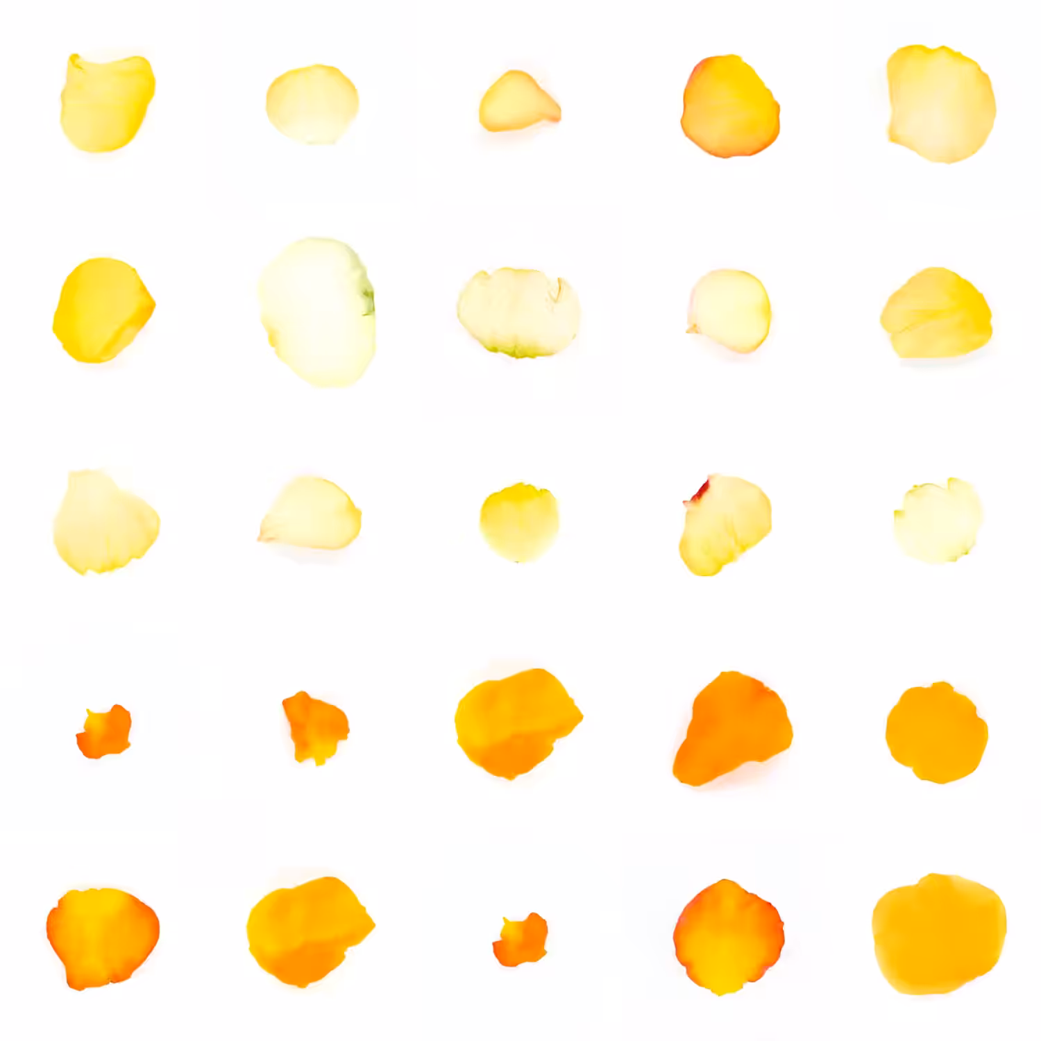 Infinite Petals 5x5#20703