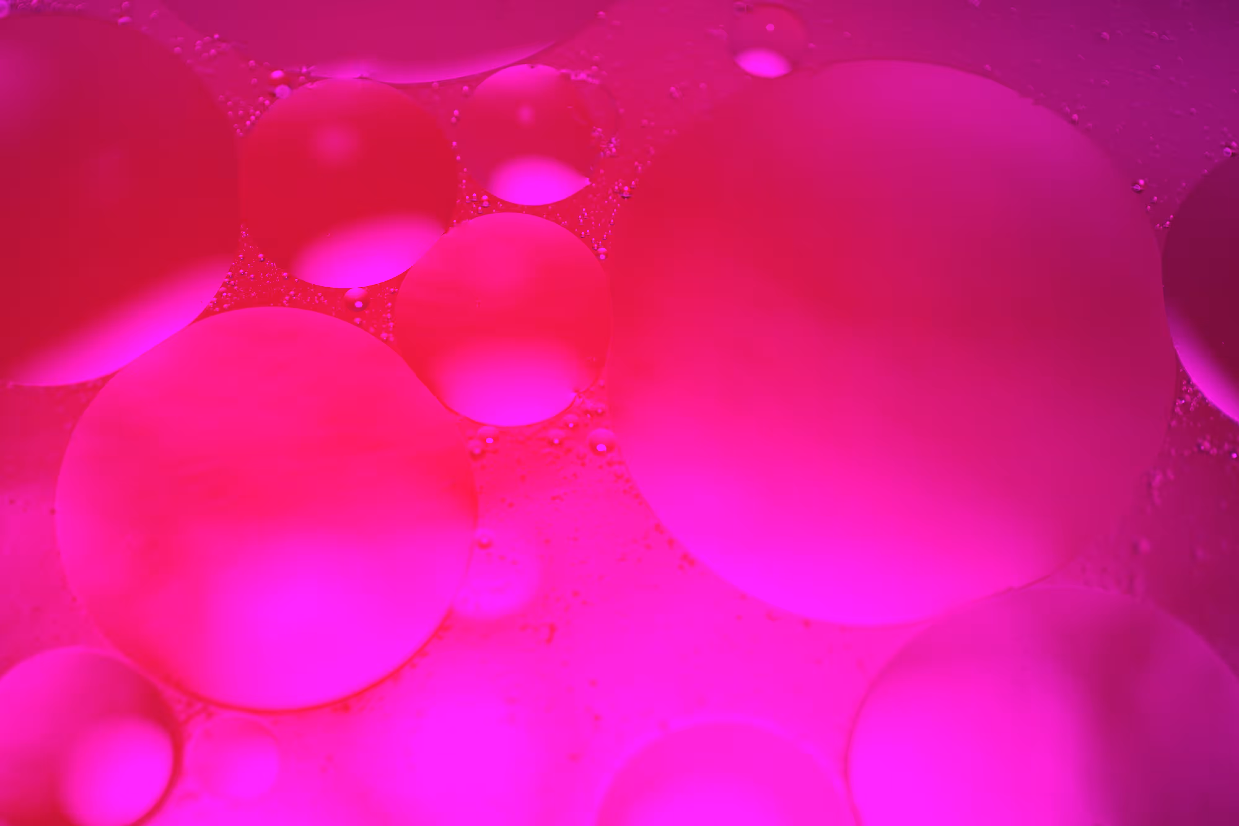 Petri Oil 12