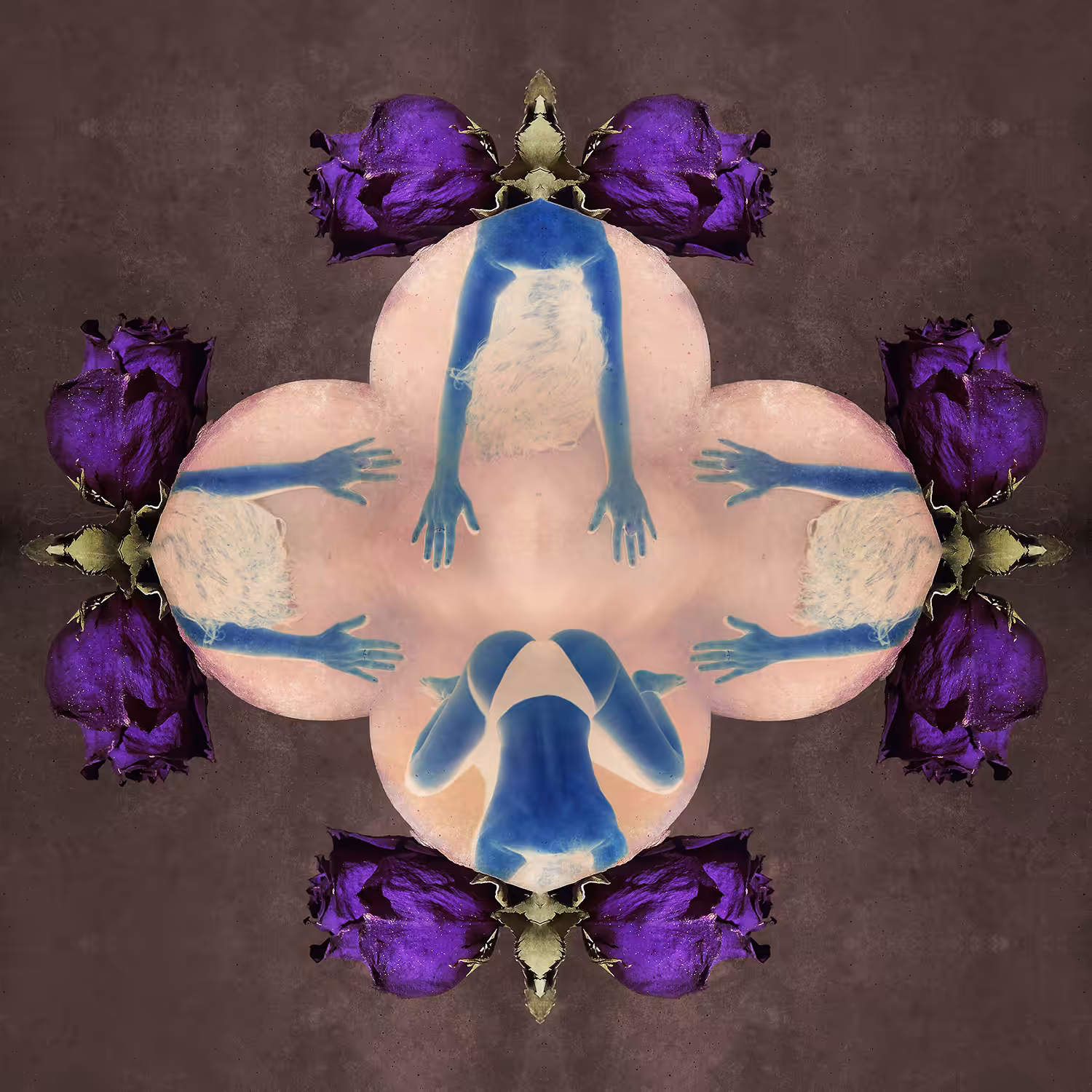 Purple Kama Sutra
