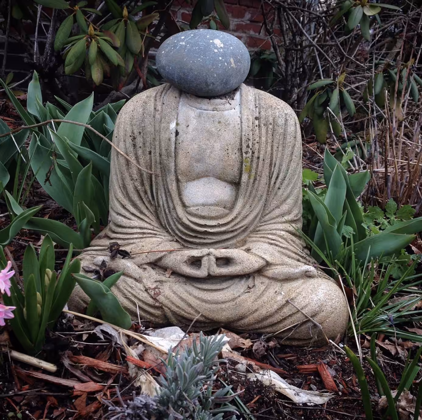 buddha