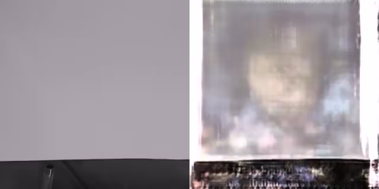 Delusions - 3