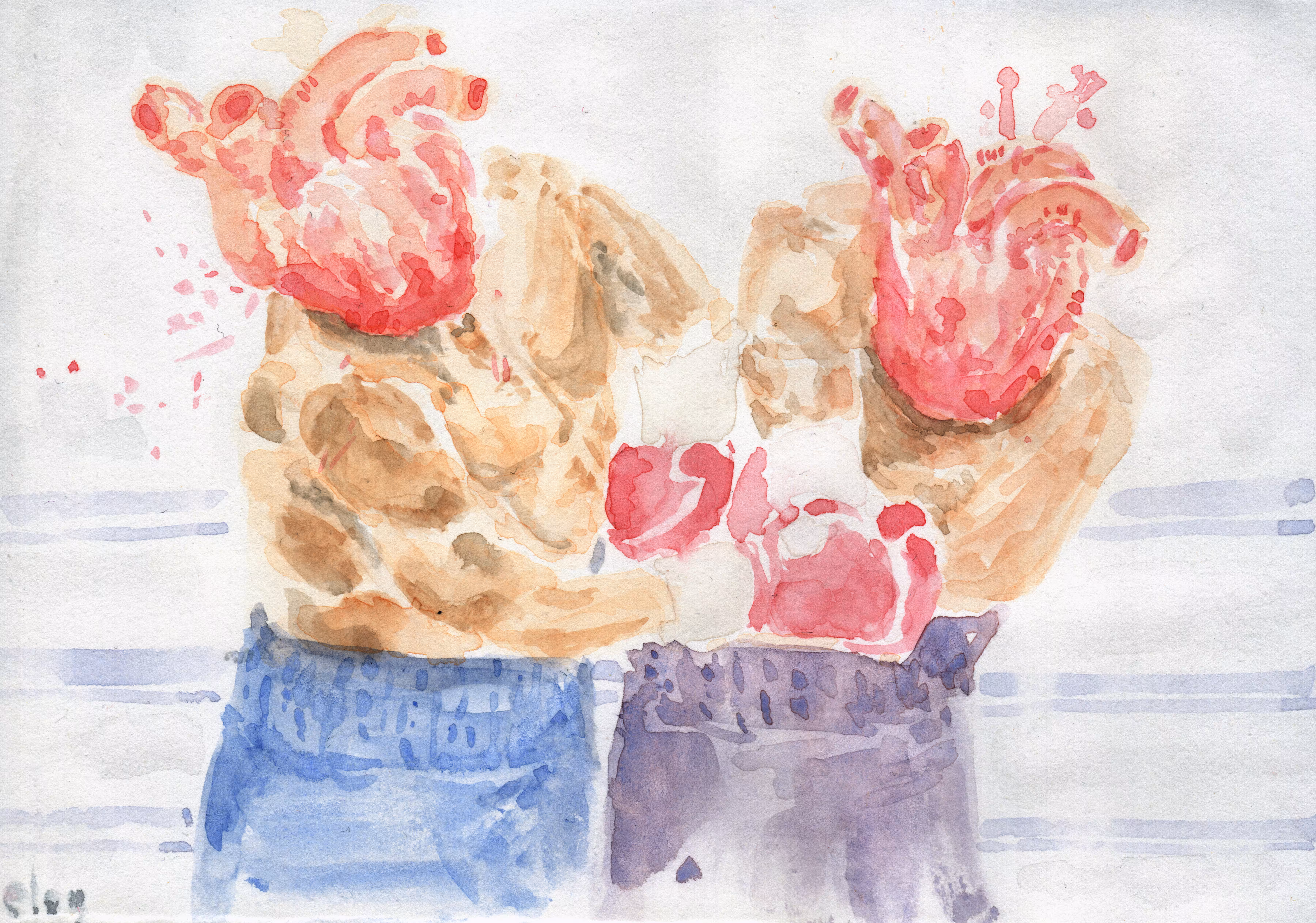 Boxers