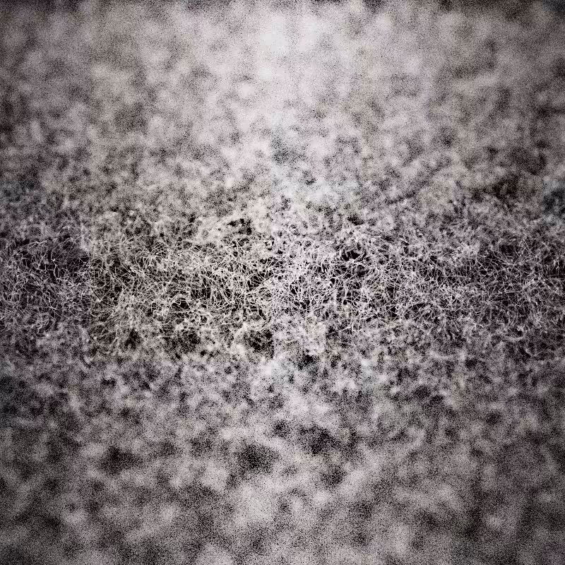 Field of noise #1