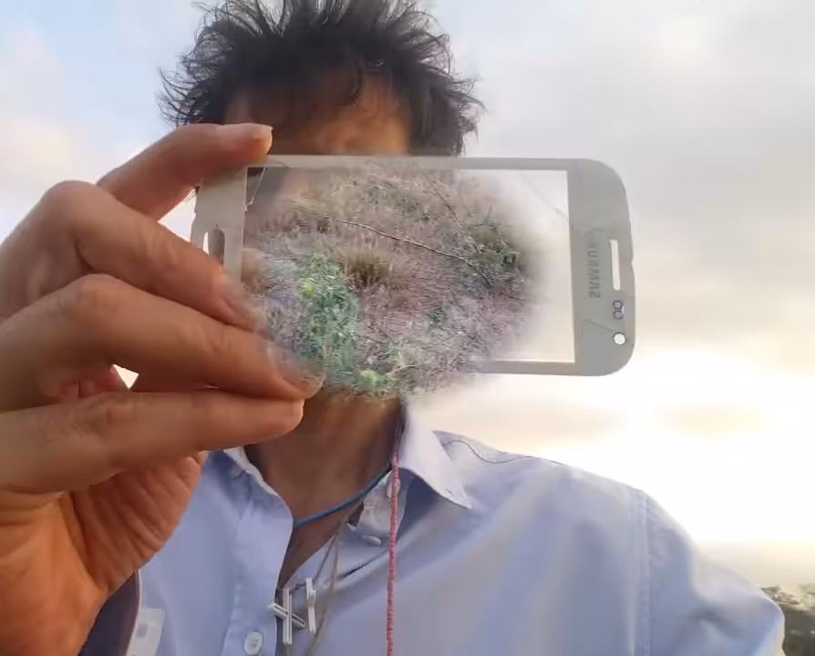 Manetas Avatar (Walking with Screens) #2, 2015