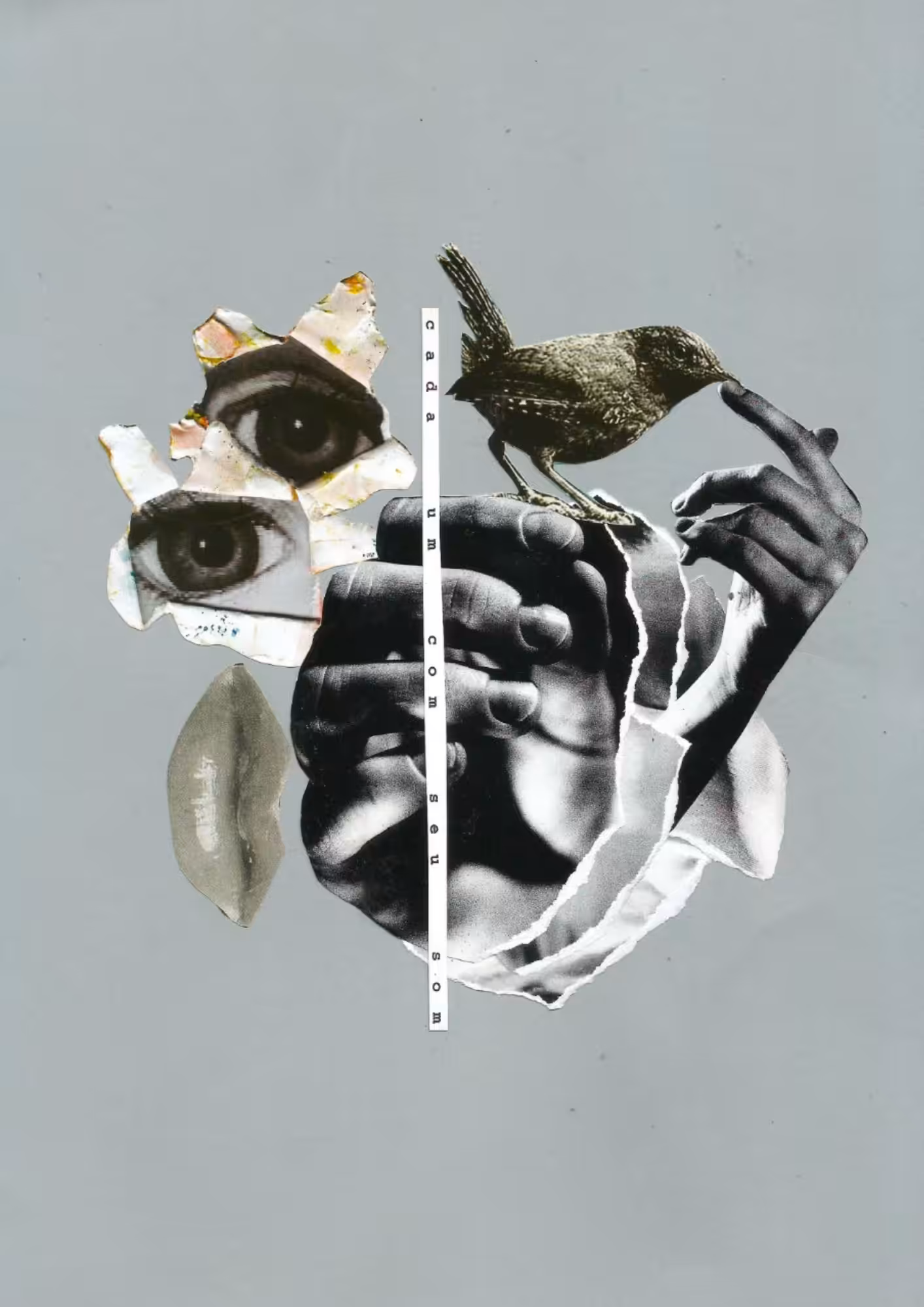sensorial memory