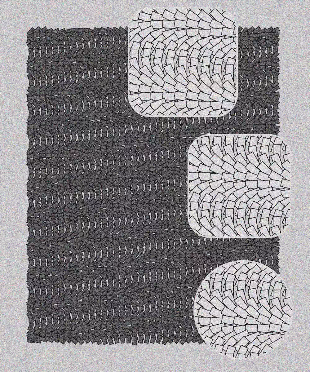 Plexus #4