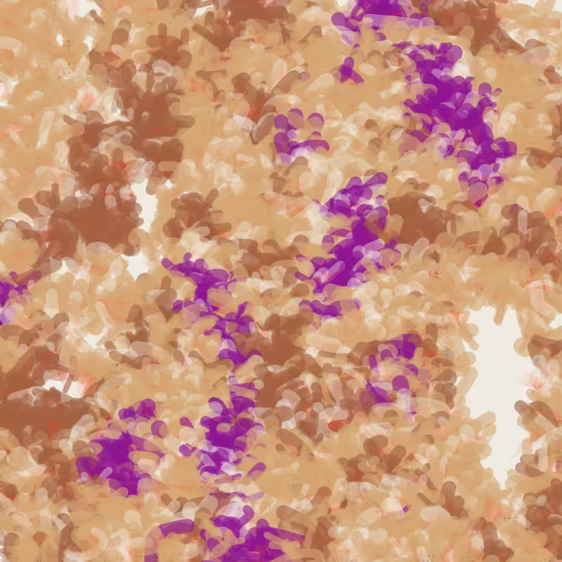 Petri 1500 #73