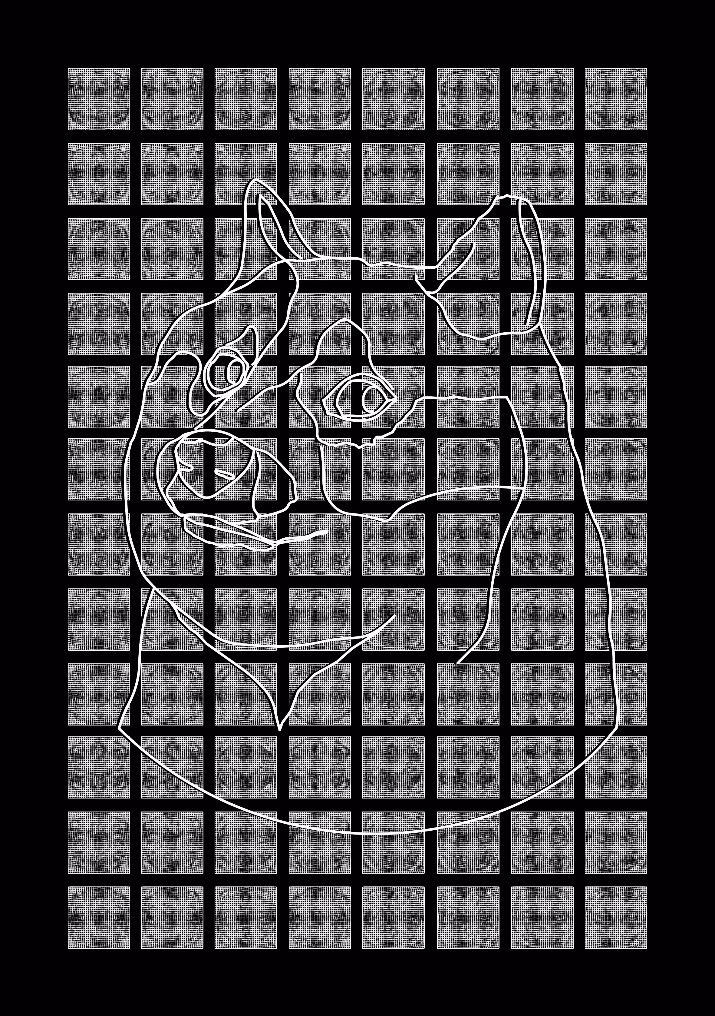 XX DOGE