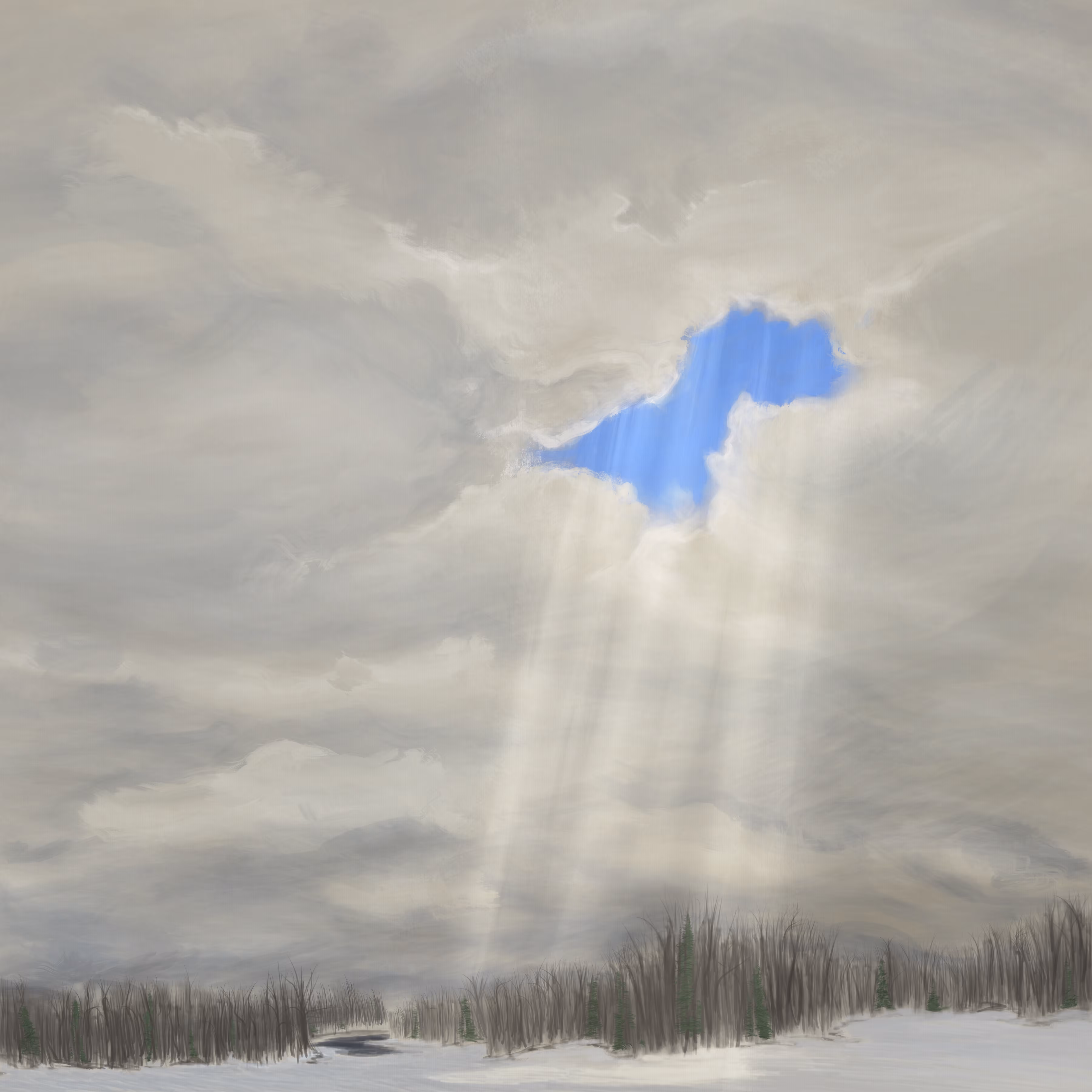Life Impression 46