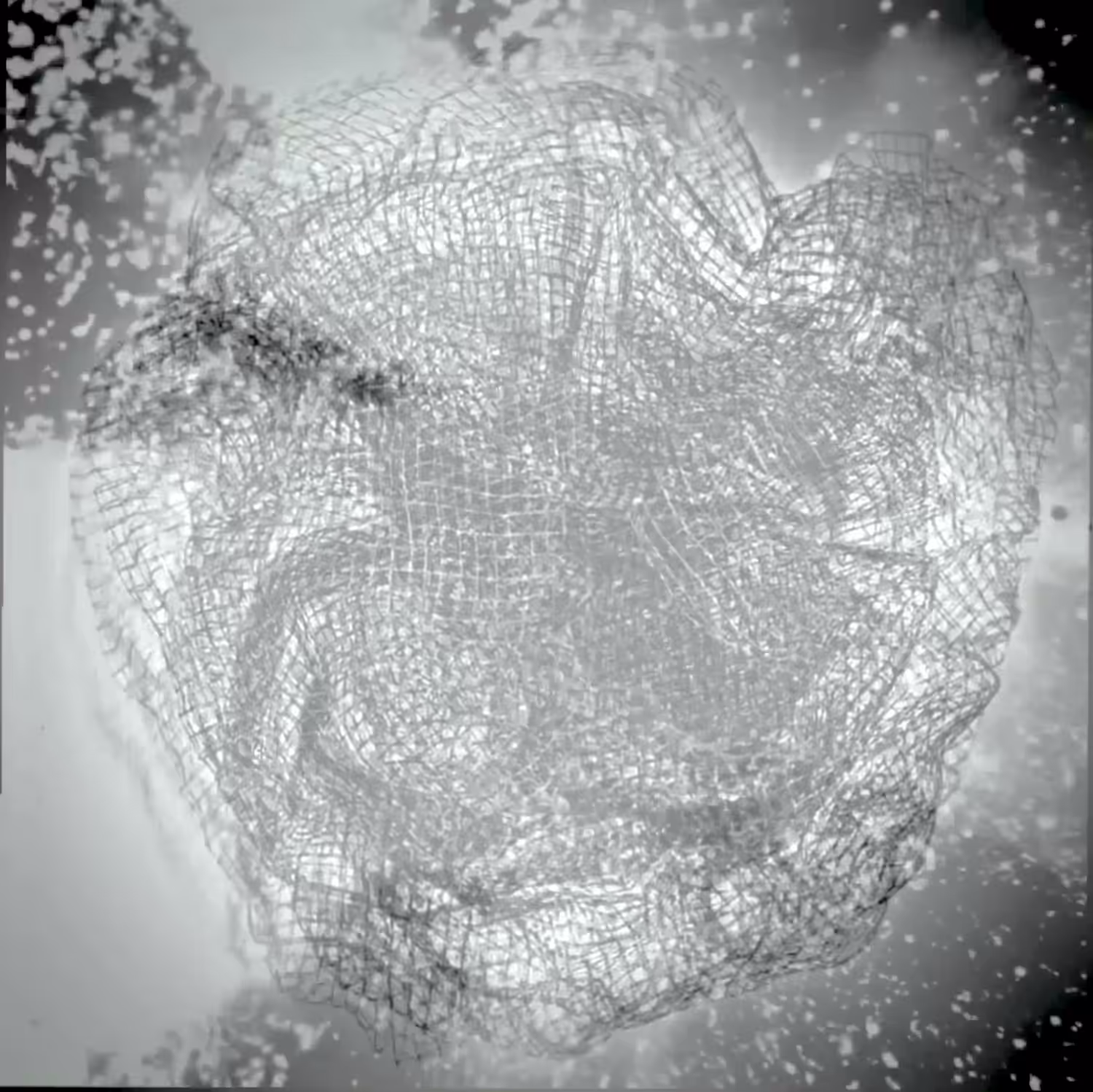 Wire Loop