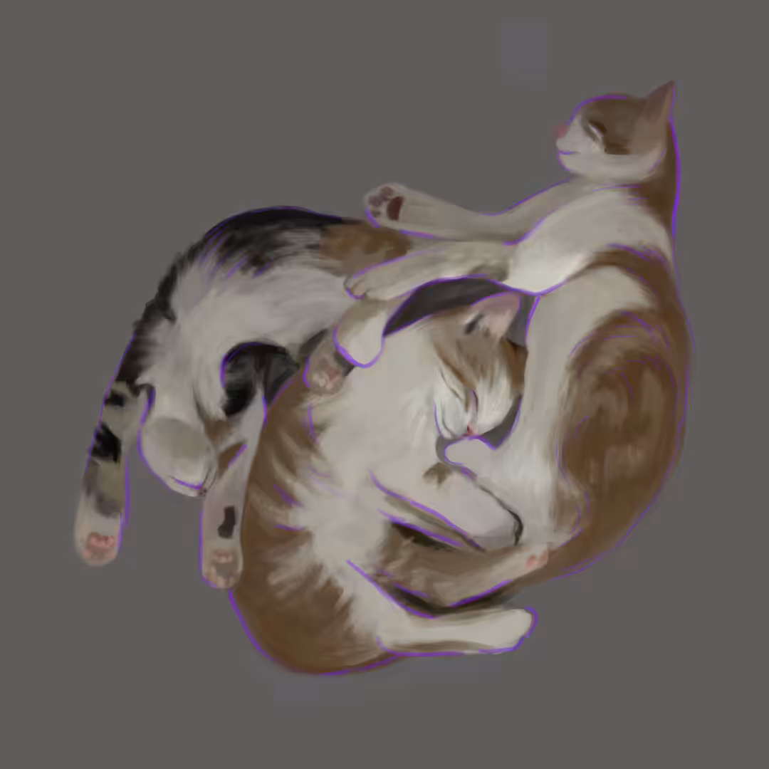 slept cats