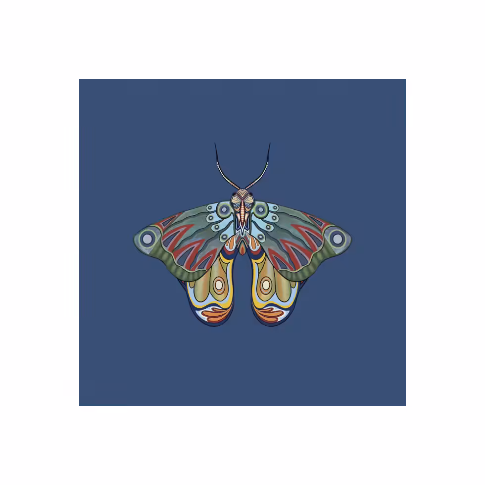 The Moth Experiment  #25