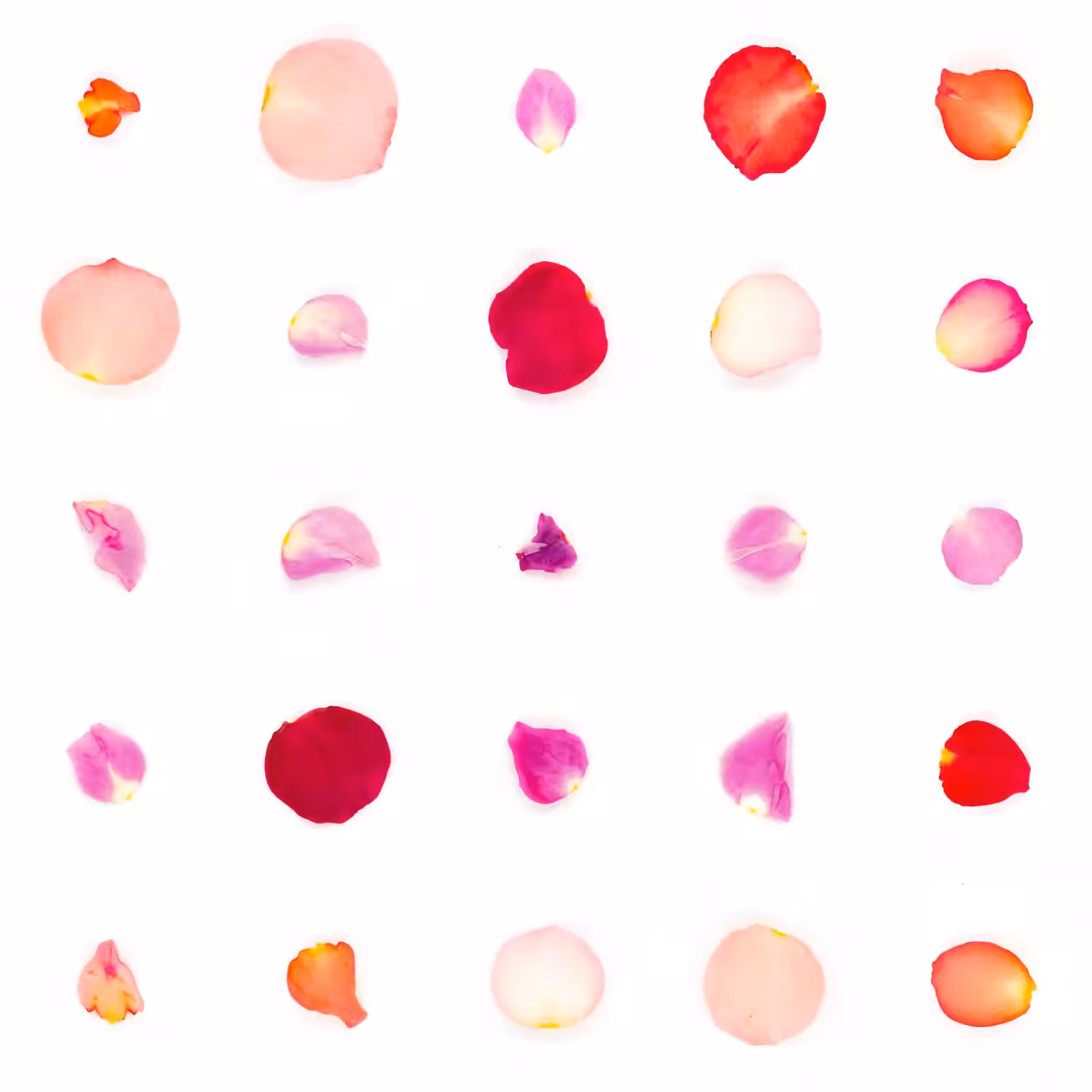 Infinite Petals 5x5#20073