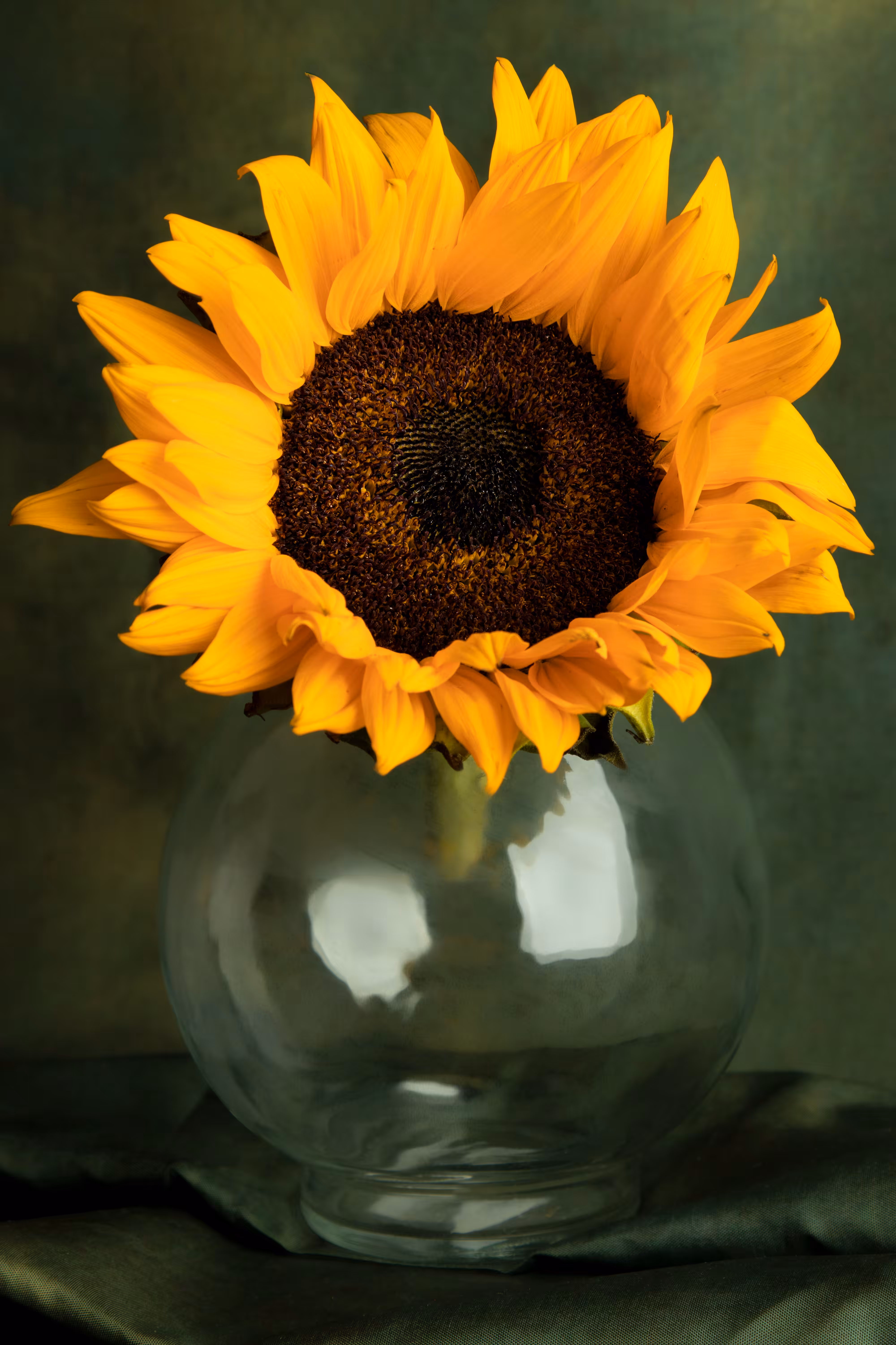 The Sun Will Shine