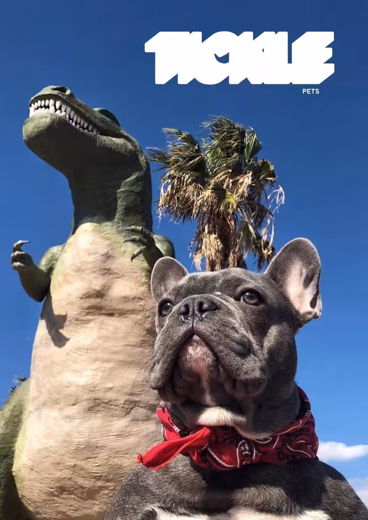 TICKLE PETS - Issue #1