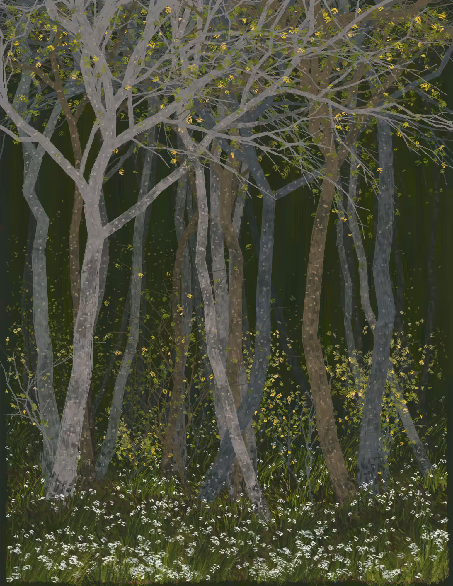 Deep Forest #216