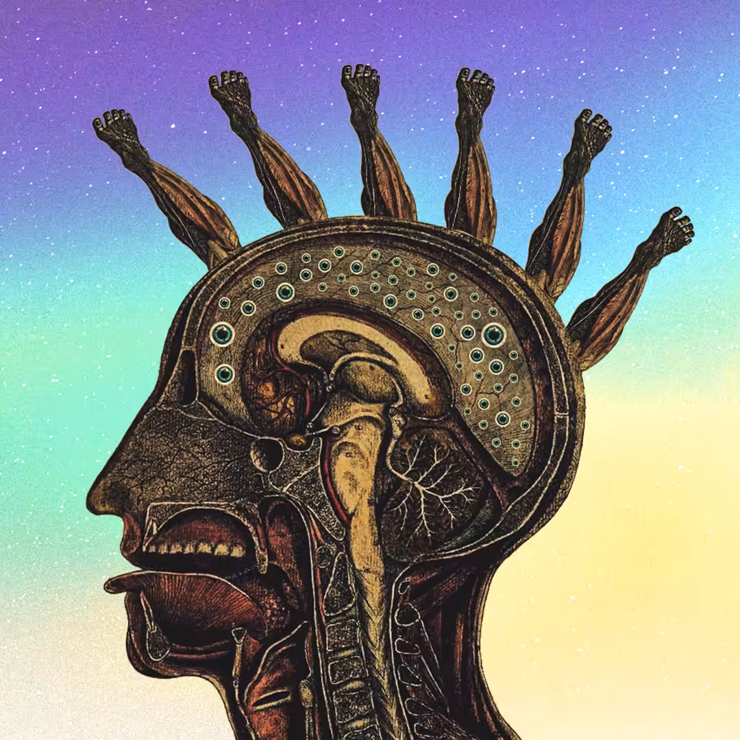 Head Of Chaos - Kryptid