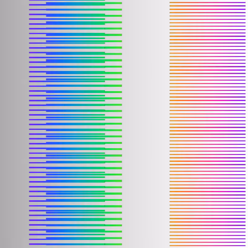 Rizome Lines #41